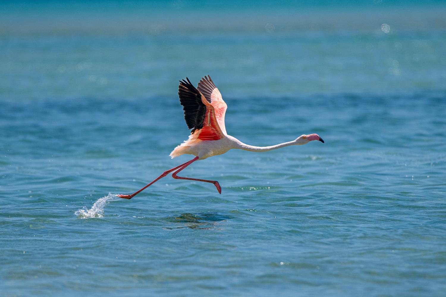 Ocean Pearl Beach Lodge Vilanculos Dış mekan fotoğraf